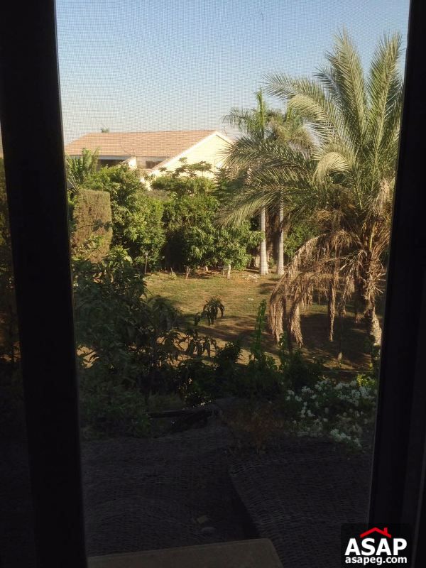 Villa for Rent in Sheikh Zayed Villa for Rent in Sheikh Zayed