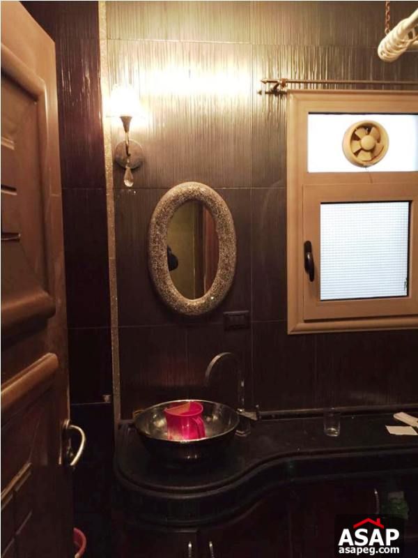 Property for Rent with Nile View in Zamalek Property for Rent with Nile View in Zamalek