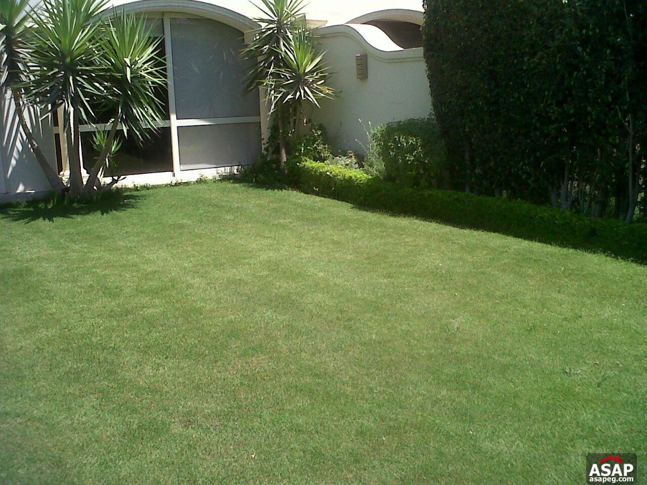 Villa for Rent in El Patio Compound Villa for Rent in El Patio Compound