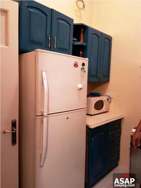 Apartment for Rent in Zamalek