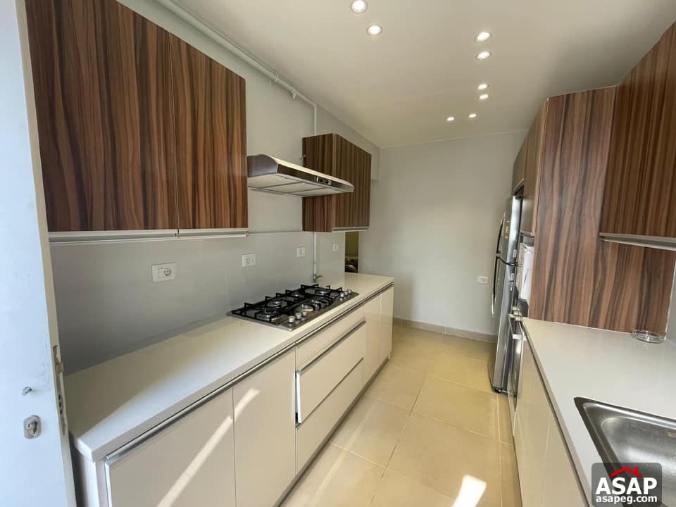 Apartment for Rent in Zamalek Apartment for Rent in Zamalek