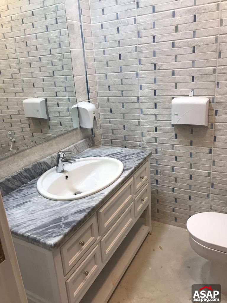 Modern Apartment in Eastown for Rent