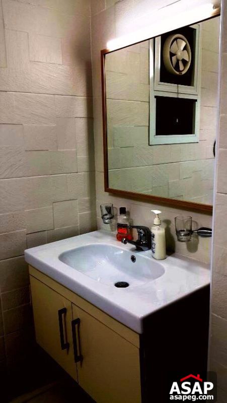 Furnished Apartment with Big Terrace in Zamalek Furnished Apartment with Big Terrace in Zamalek