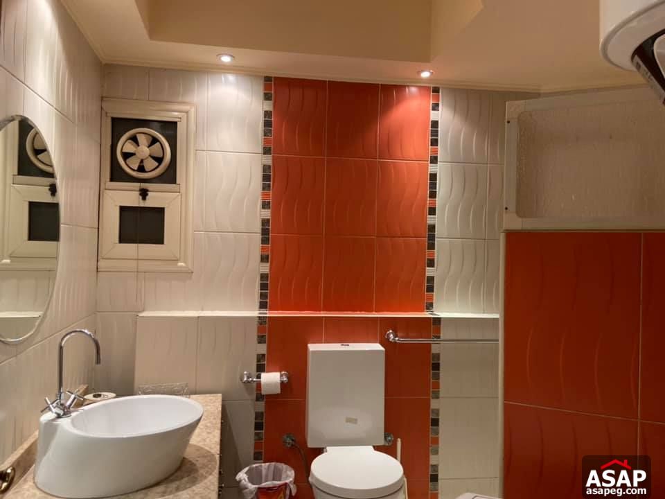 Apartment for Rent in Dokki Apartment for Rent in Dokki