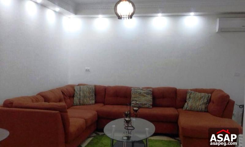 Apartment for Rent in Dokki Apartment for Rent in Dokki