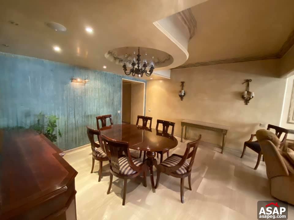 Apartment for Rent in Zamalek Apartment for Rent in Zamalek