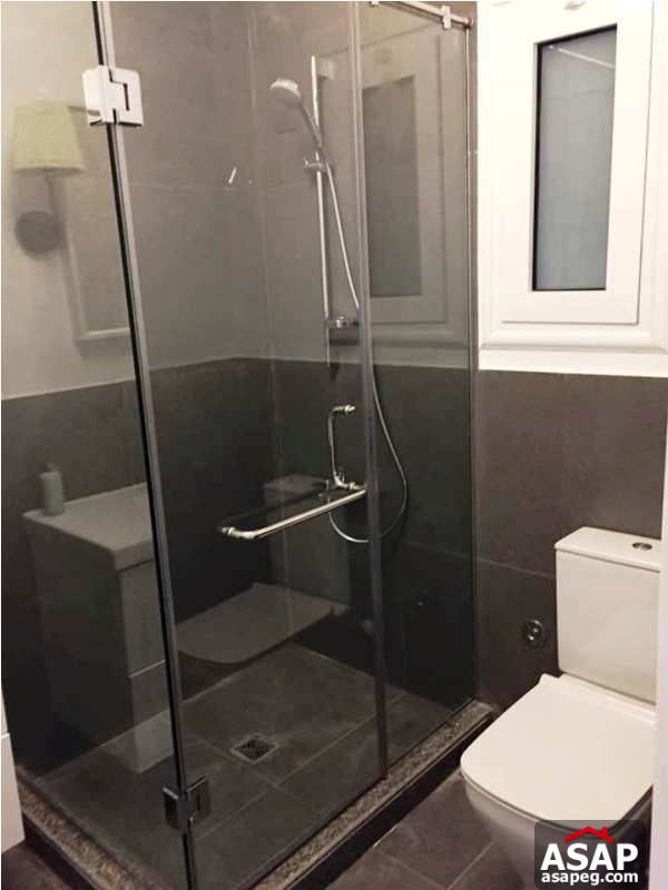 Nice Flat for Rent in Zamalek Nice Flat for Rent in Zamalek