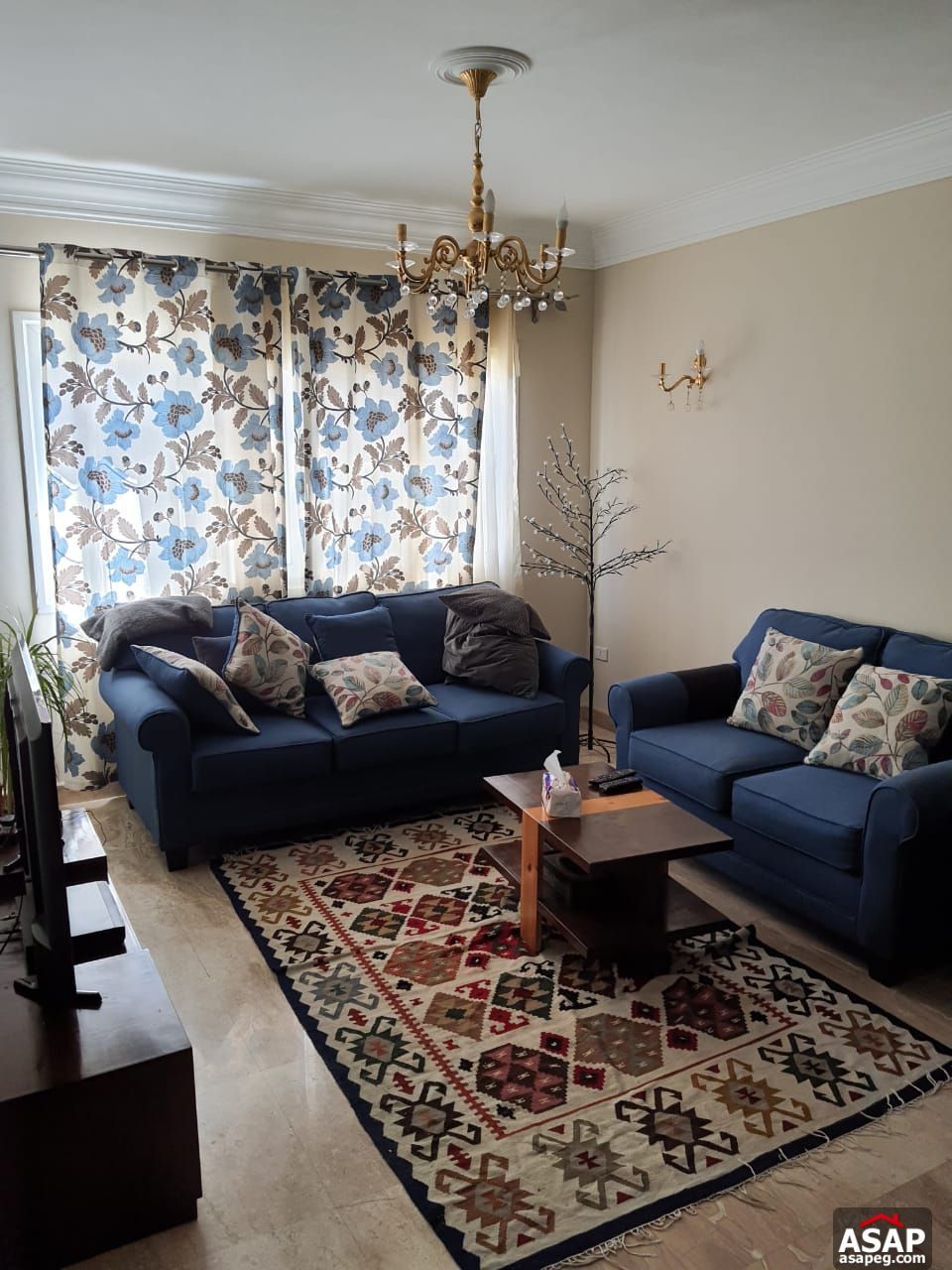 Furnished Apartment for Rent in Mountain View Hyde Park