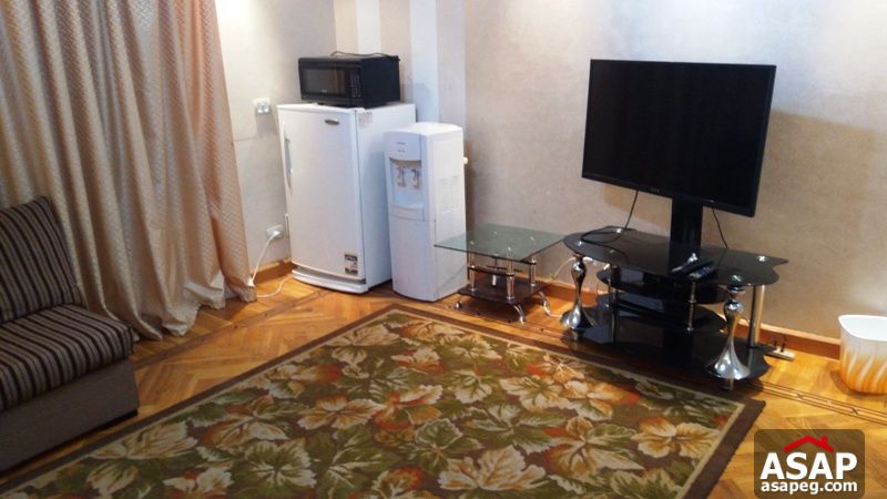 Modern Apartment with Big Reception in Zamalek Modern Apartment with Big Reception in Zamalek