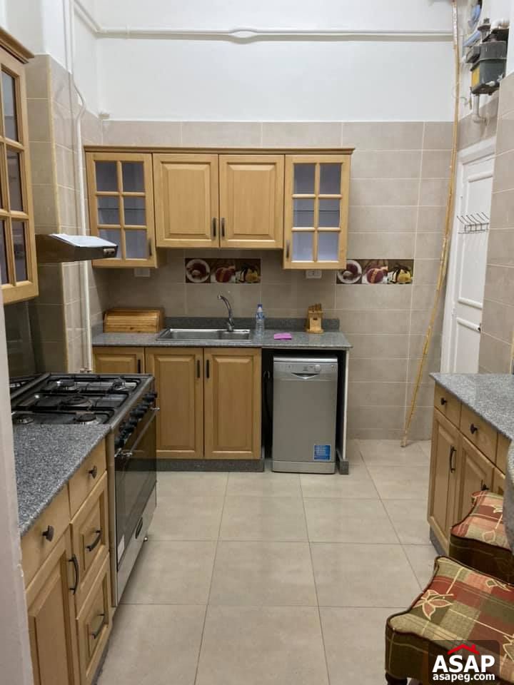 Apartment for Rent in Zamalek Apartment for Rent in Zamalek
