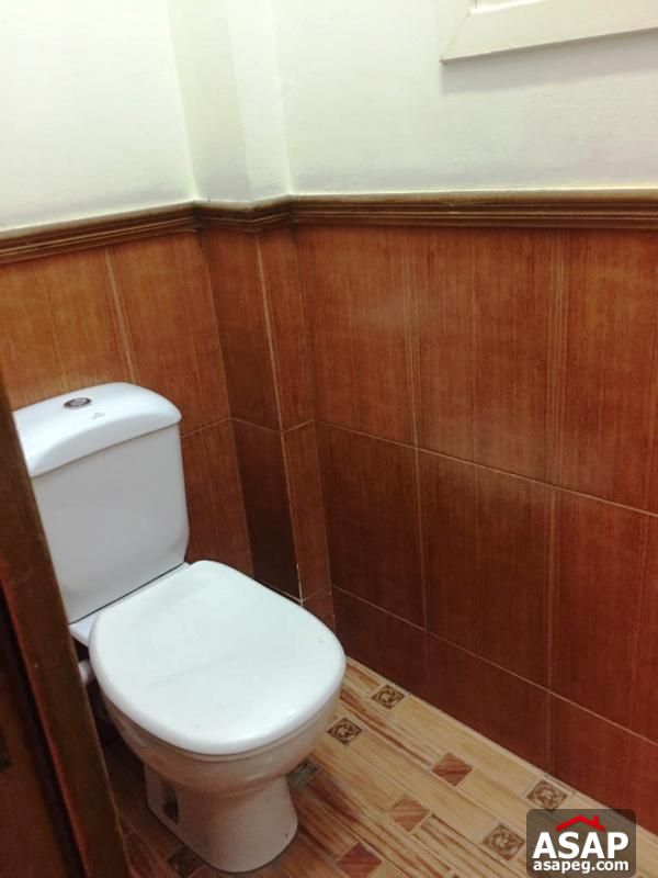 Flat with Nile View in Zamalek