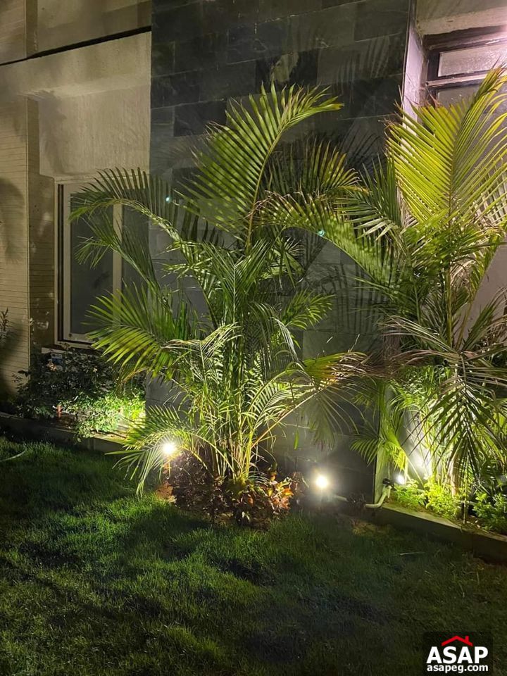 Ground Floor for Rent in Galleria Moon Valley Ground Floor for Rent in Galleria Moon Valley