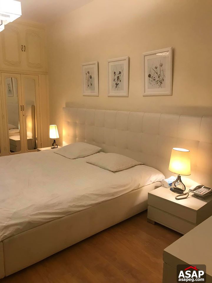 Apartment for Rent in Zamalek Apartment for Rent in Zamalek