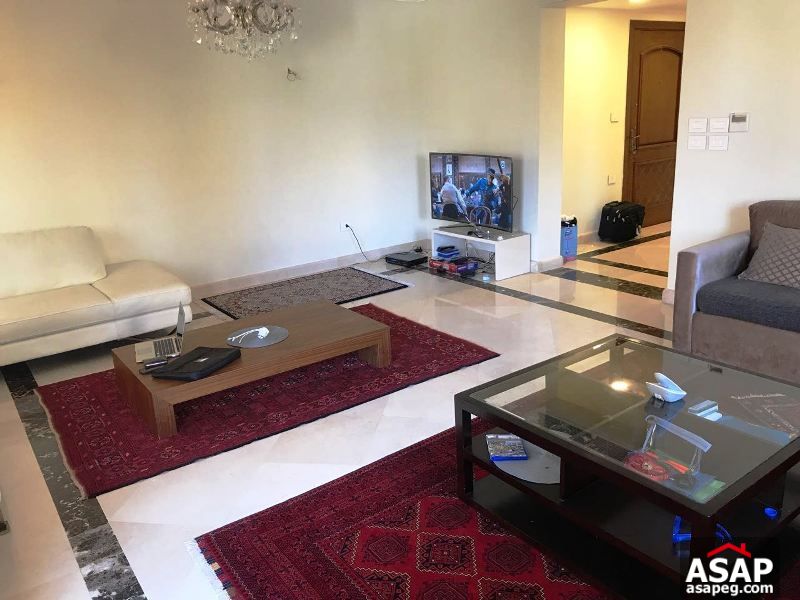 Apartment for Rent in Mohandiseen Apartment for Rent in Mohandiseen
