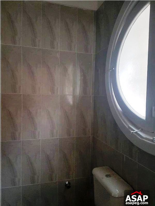 Apartment for Rent in Zamalek Apartment for Rent in Zamalek