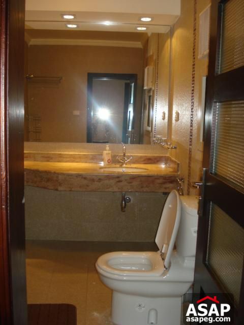 Furnished Apartment for Rent in Zamalek Furnished Apartment for Rent in Zamalek