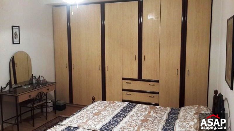 Furnished Apartment with Big Terrace in Zamalek Furnished Apartment with Big Terrace in Zamalek