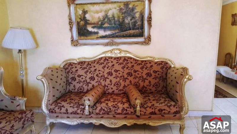 Furnished Apartment in Maadi Degla