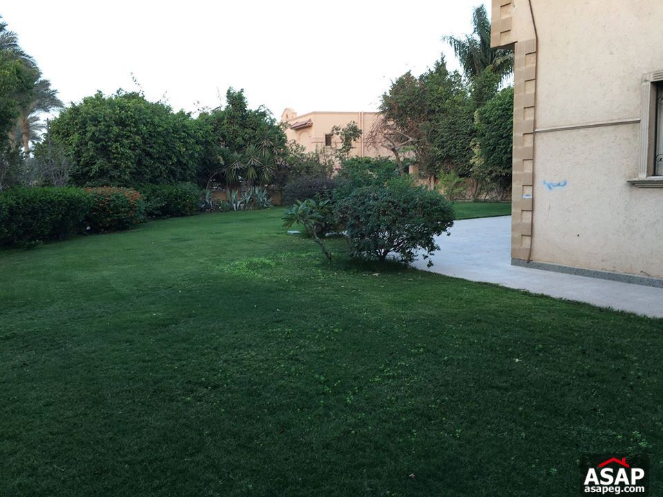 Villa for Rent in Gezira Green Park - New Cairo Villa for Rent in Gezira Green Park - New Cairo