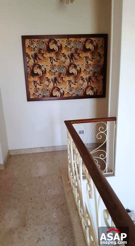 Villa for Rent in Sheikh Zayed Villa for Rent in Sheikh Zayed