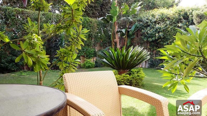 Twin House with Garden for Rent in Meadows Park - Sheikh Zayed Twin House with Garden for Rent in Meadows Park - Sheikh Zayed