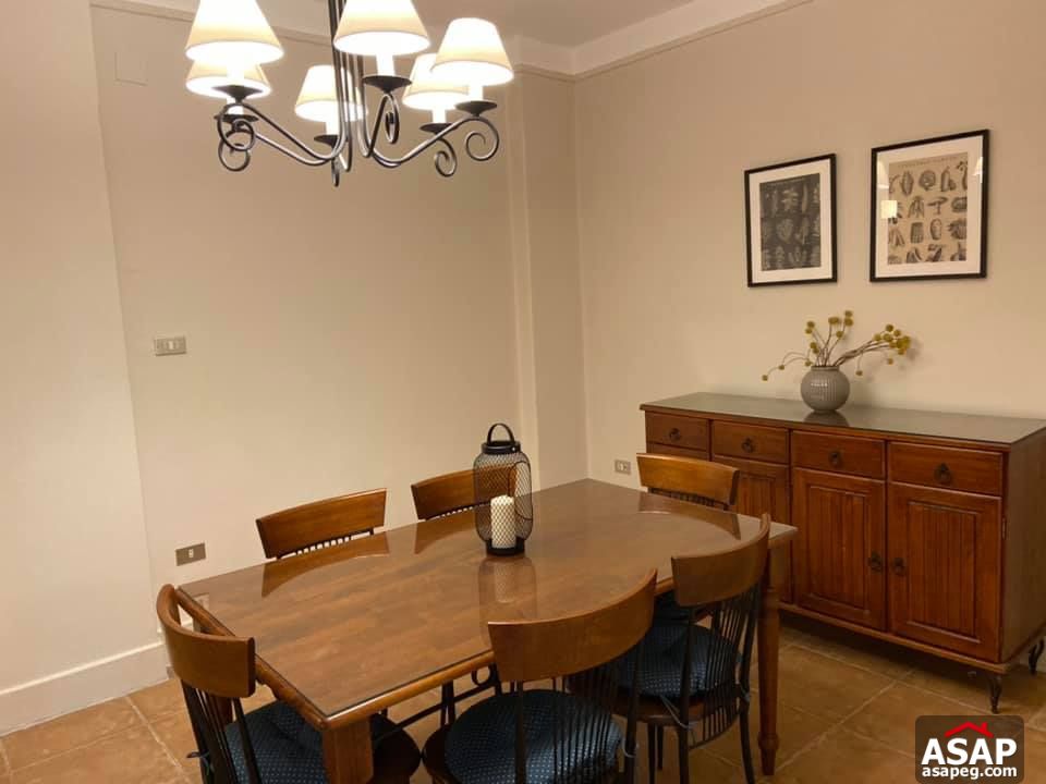 Apartment for Rent in Zamalek Apartment for Rent in Zamalek