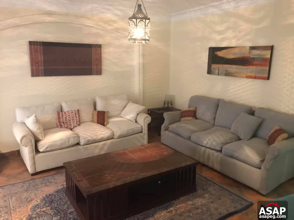 Apartment for Rent in Zamalek Apartment for Rent in Zamalek