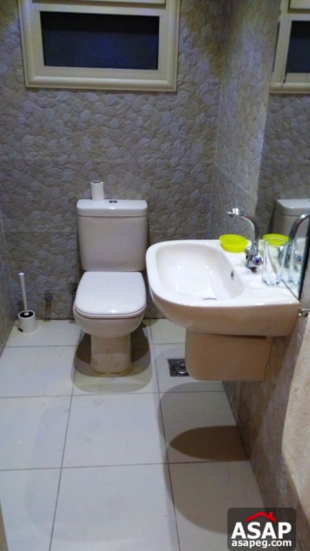 Furnished Apartment with Nile View in Zamalek Furnished Apartment with Nile View in Zamalek