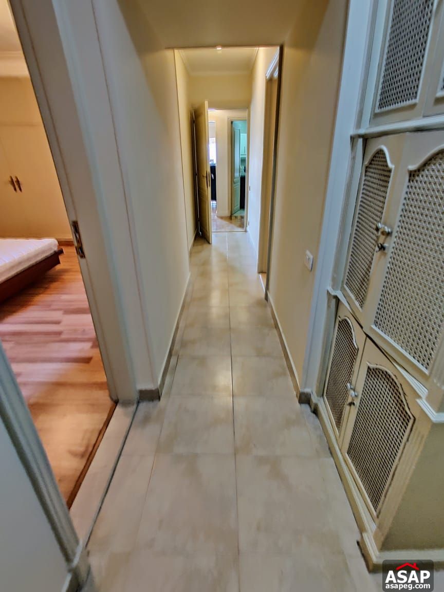 Apartment for Rent in Zamalek Apartment for Rent in Zamalek