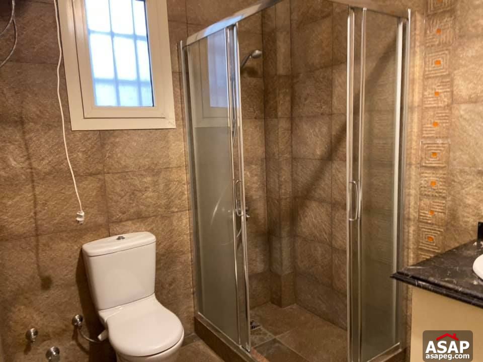 Apartment for Rent in Zamalek Apartment for Rent in Zamalek