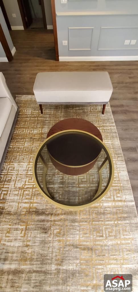 Furnished Apartment for Rent in Villette Sodic Furnished Apartment for Rent in Villette Sodic