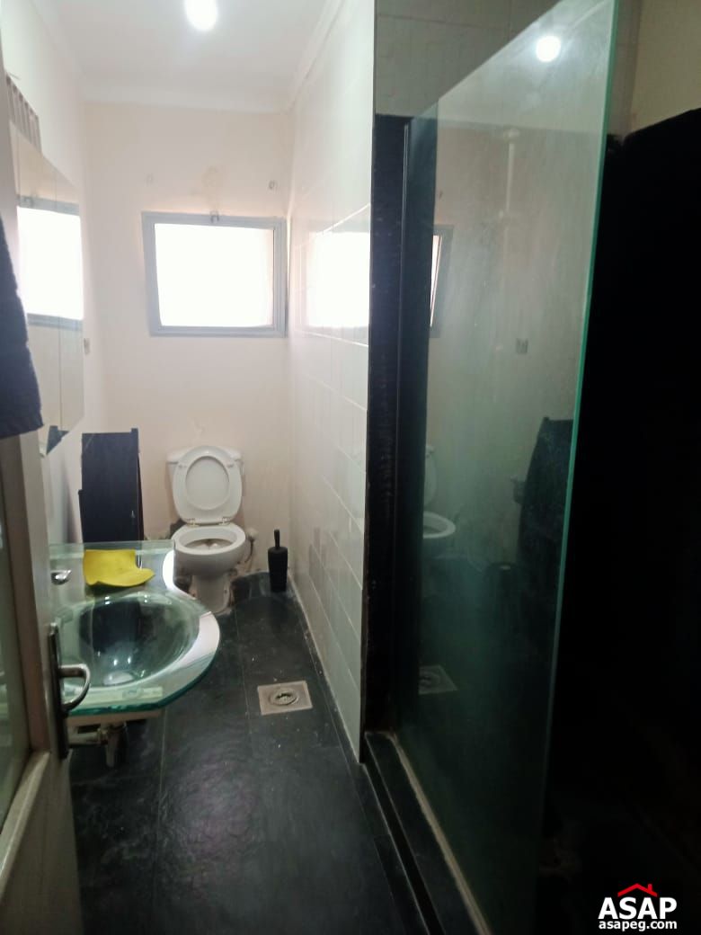 Fully Furnished Apartment in Zamalek for Rent Fully Furnished Apartment in Zamalek for Rent