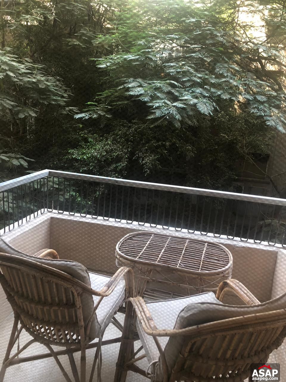 Furnished Apartment for Rent in Zamalek