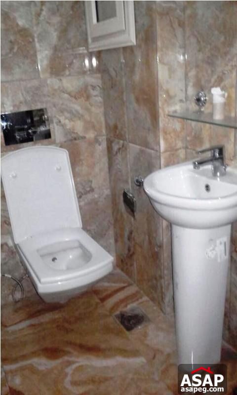 Furnished Apartment for Rent in Mohandiseen Furnished Apartment for Rent in Mohandiseen