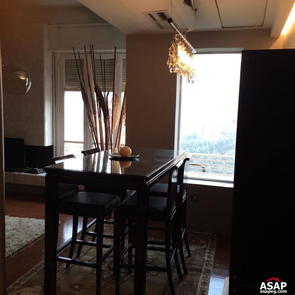 Apartment for Rent in Zamalek Apartment for Rent in Zamalek