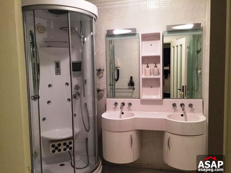 Apartment for Rent in Zamalek Apartment for Rent in Zamalek