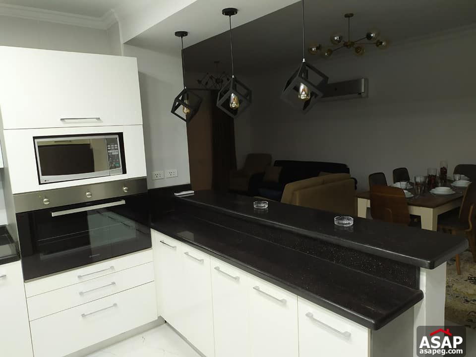 Furnished Apartment for Rent in Eastown Furnished Apartment for Rent in Eastown