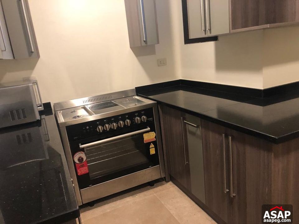 Furnished Duplex for Rent in Eastown Compound