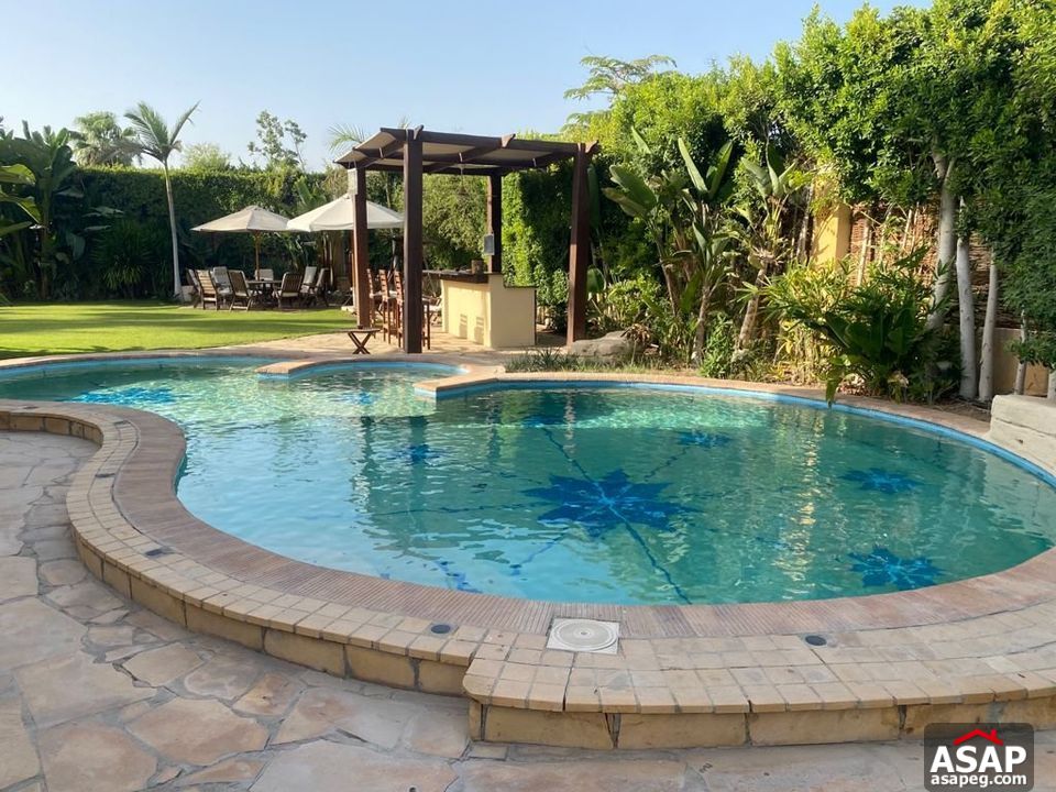 Villa for Rent in Belle Ville Compound Villa for Rent in Belle Ville Compound