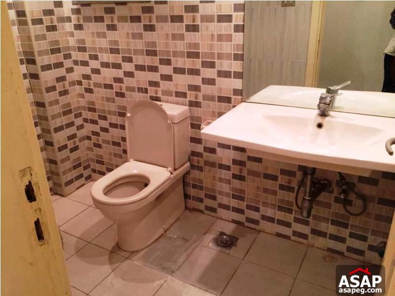 Fully Furnished Apartment in Zamalek Fully Furnished Apartment in Zamalek