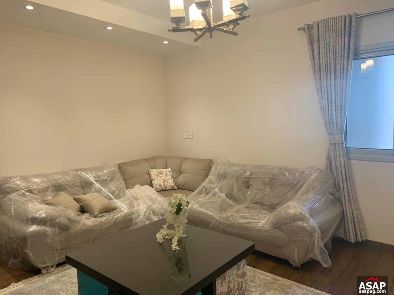 Furnished Apartment for Rent in Cairo Festial City Furnished Apartment for Rent in Cairo Festial City
