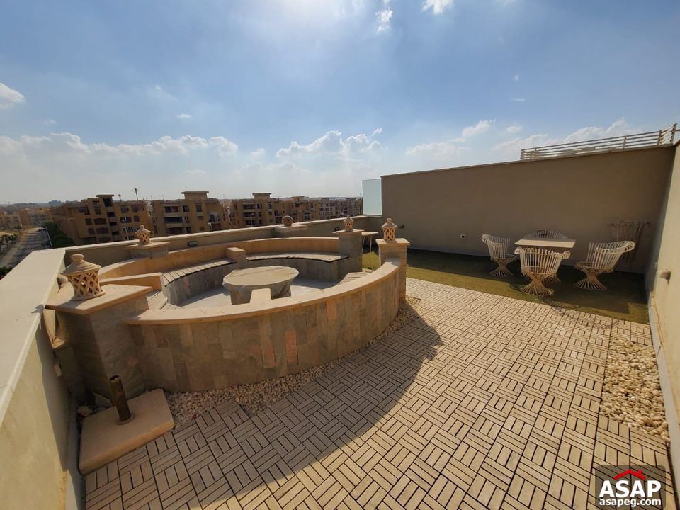 Penthouse for Rent in Park View