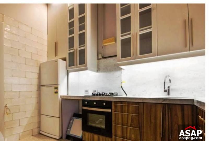 Furnished Apartment for Rent in Zamalek Furnished Apartment for Rent in Zamalek