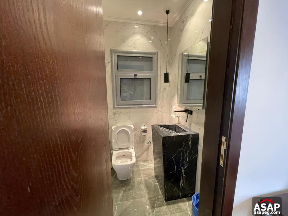 Apartment for Rent in Zamalek Apartment for Rent in Zamalek