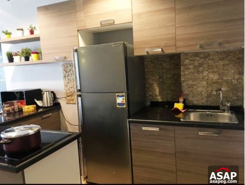 Modern Apartment For Rent In The Village Palm Hills - New Cairo Modern Apartment For Rent In The Village Palm Hills - New Cairo