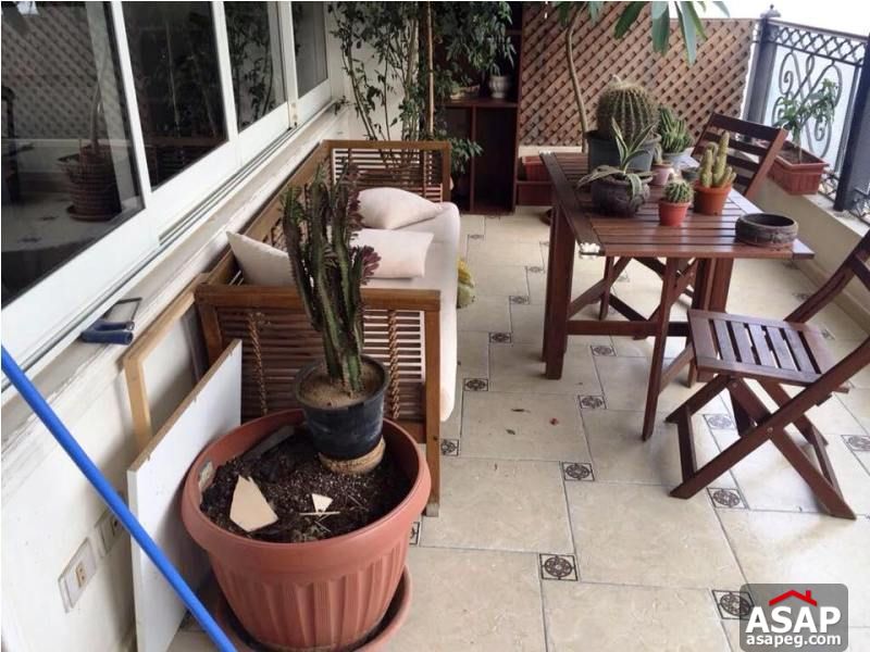 Apartment for Rent in Zamalek Apartment for Rent in Zamalek