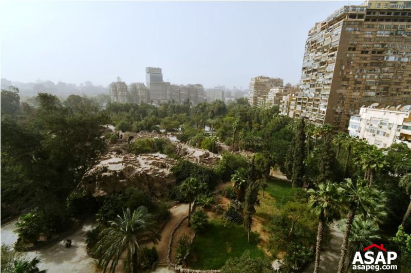 Property with Garden View in Zamalek Property with Garden View in Zamalek