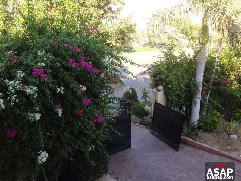 Villa for Rent in Sheikh Zayed Villa for Rent in Sheikh Zayed