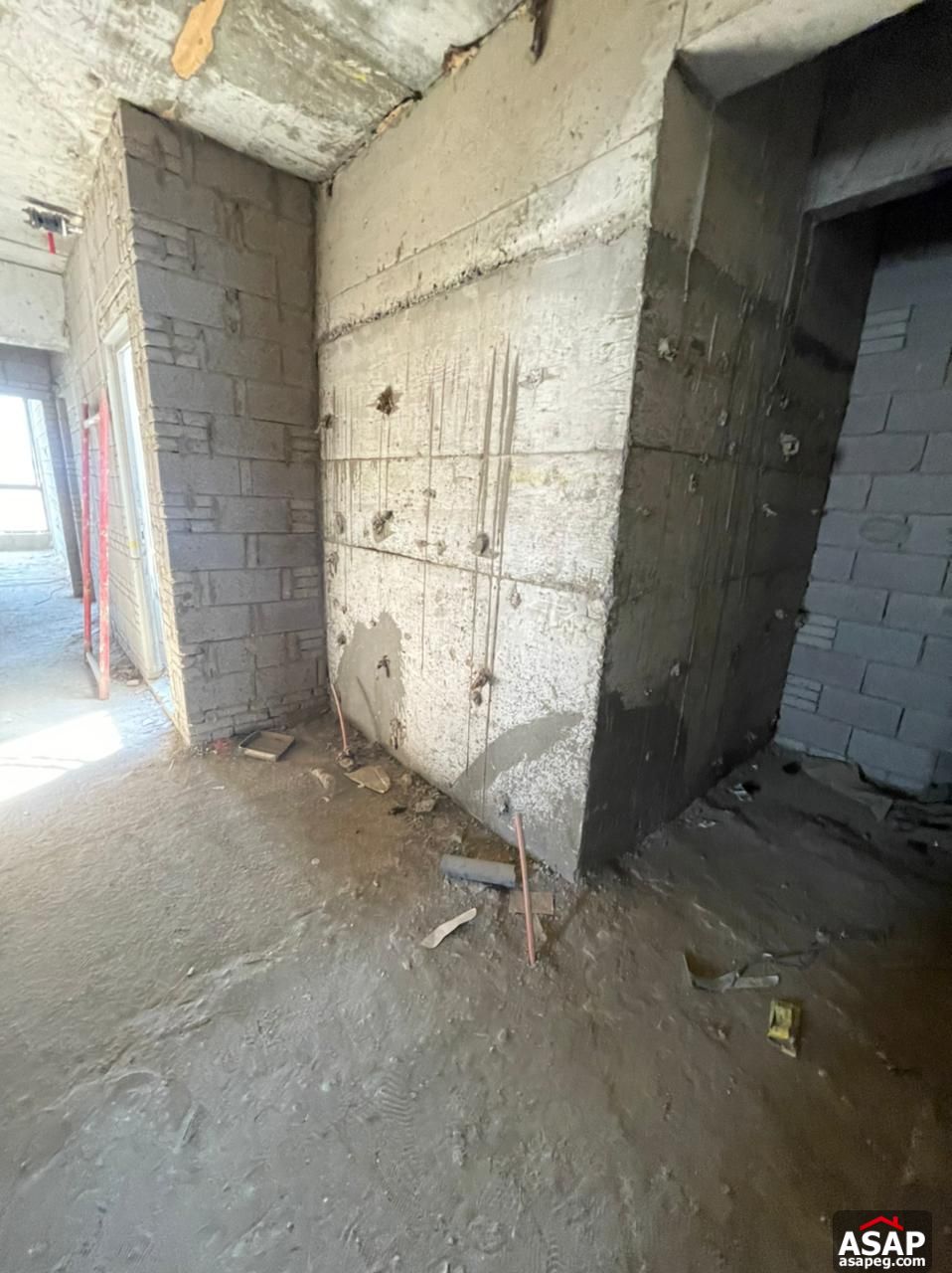 Penthouse with Pool for Sale in Lake View Residence Penthouse with Pool for Sale in Lake View Residence