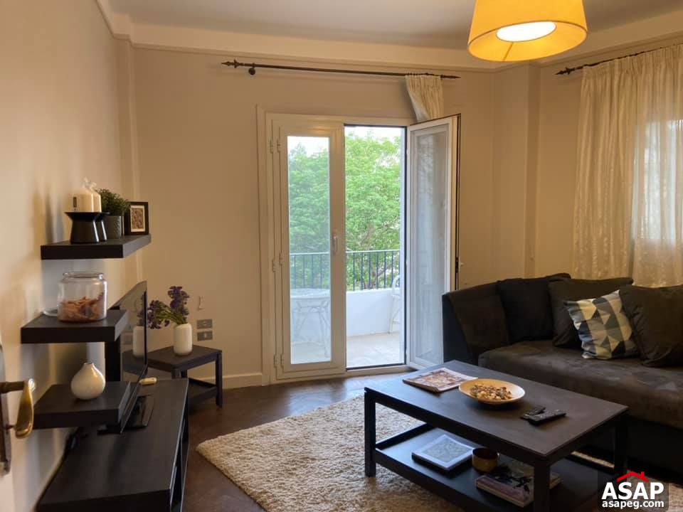 Apartment for Rent in Zamalek Apartment for Rent in Zamalek